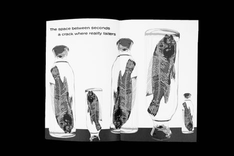 Open book print: fish in jars, text 'The space between seconds a crack where reality falters'