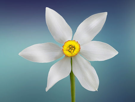 Spring: Centered and Focused