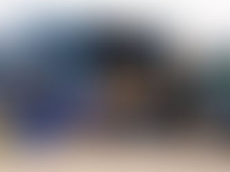 Modern Disposal/Waste Management