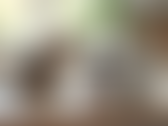 Enhance Your Pet Care Routine with a Smart Cat Feeder Featuring a Built-In Camera