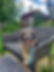 IMG_1075.jpeg
