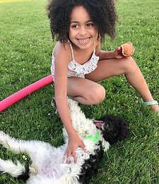 Little girl and her bernedoodle puppy