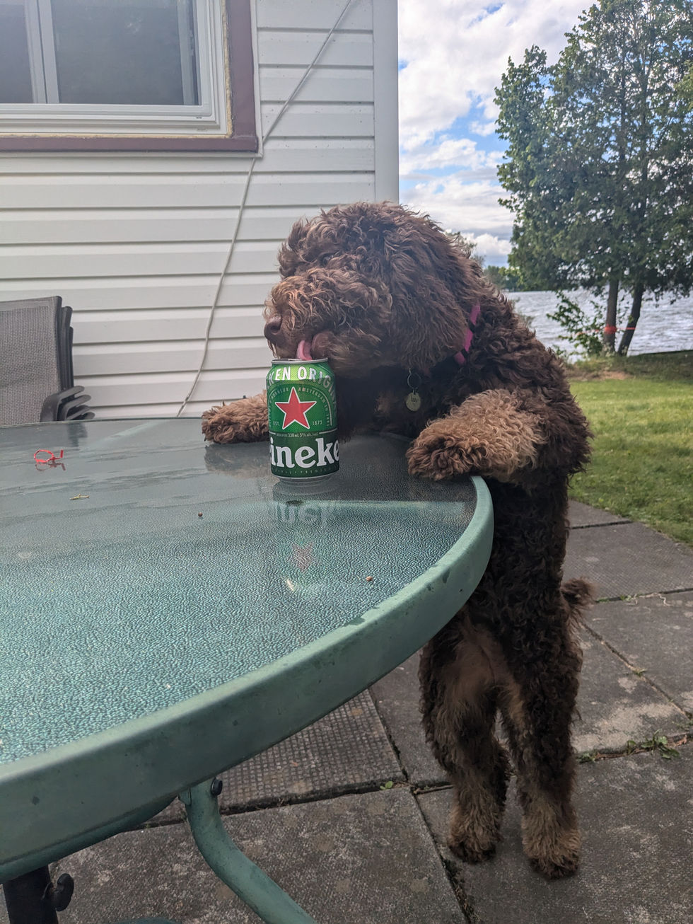 PXL_20240630_203659104