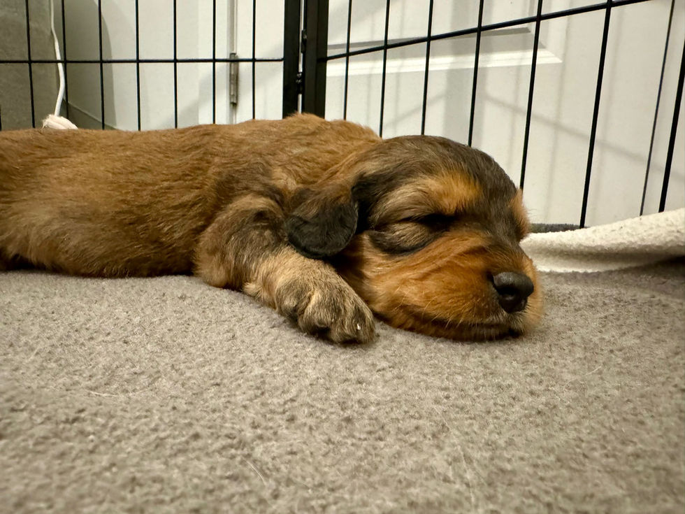 bc3bb996-057d-451c-b4cb-1418d30c0294