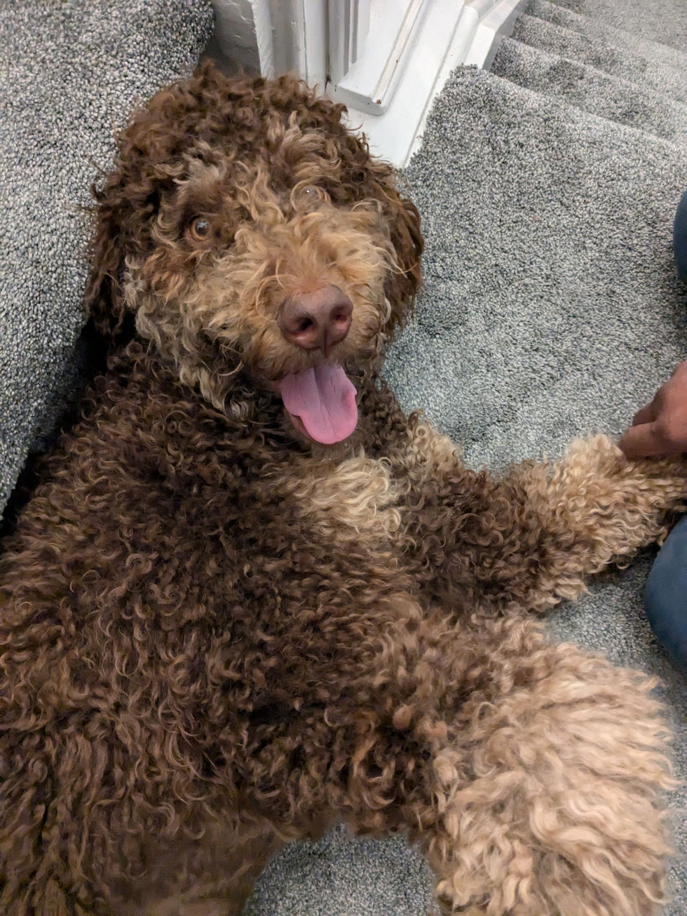 PXL_20241102_000750950.MP