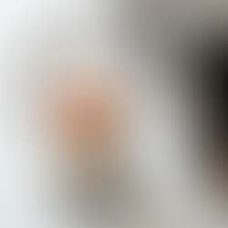 Stronger Bones Naturally: The Benefits of Eggshells For Dogs