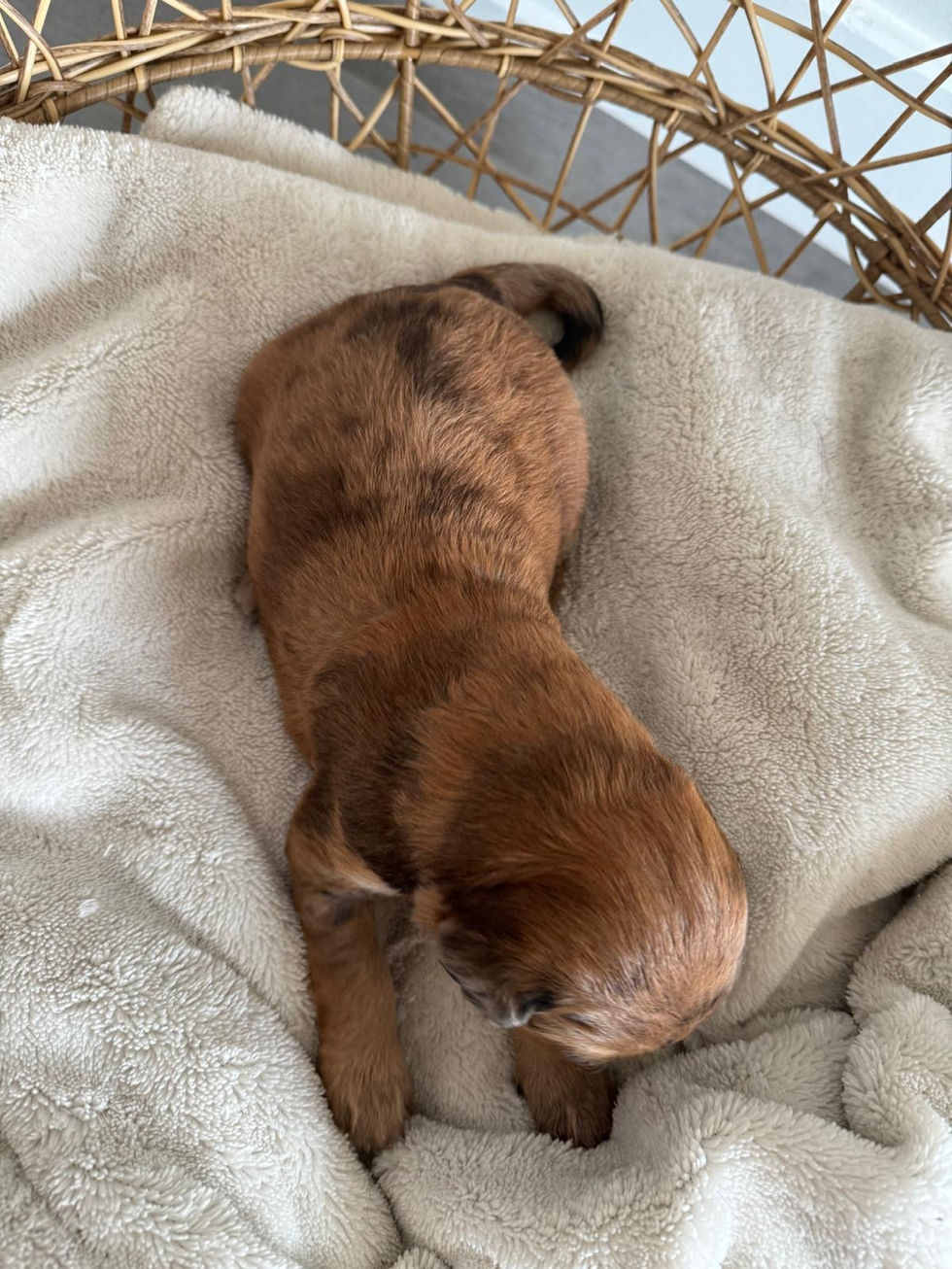 a026fd06-99b6-4d2a-a245-cf843d97fc2b