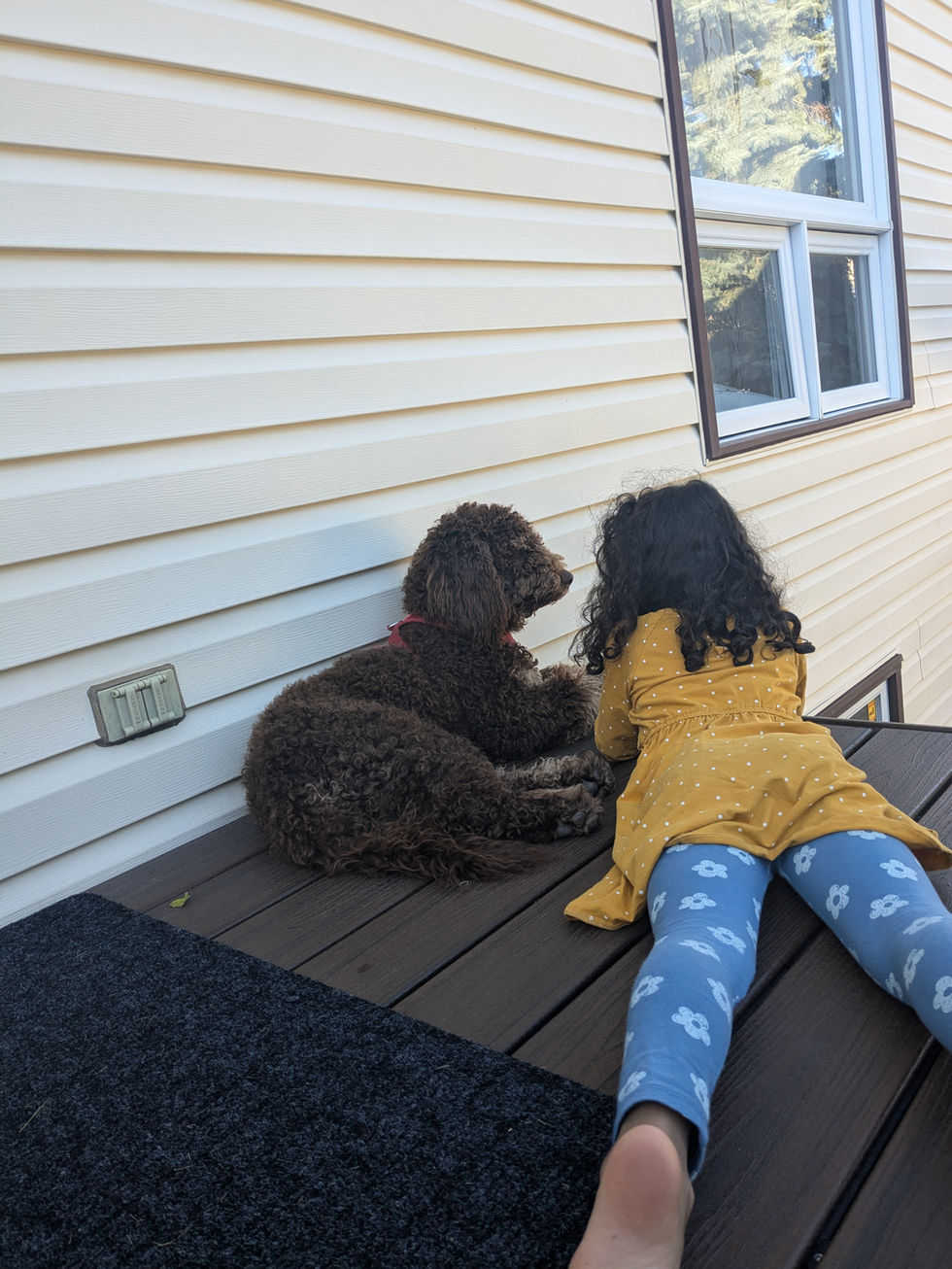 PXL_20240926_204418191.MP