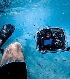 Underwater Photographer