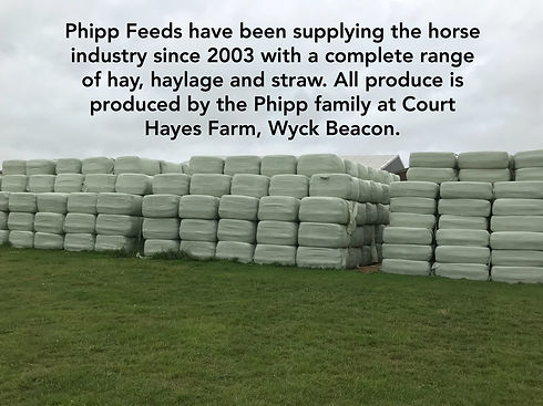Phipp Feeds have bee supplying the horse industry since 2003 with a complete range of hay, haylage and straw. All produce is produced by the Phipp family at Court Hayes Farm, Wyck Beacon.