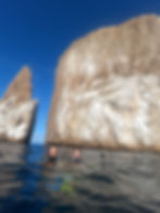 Kicker rock with alice