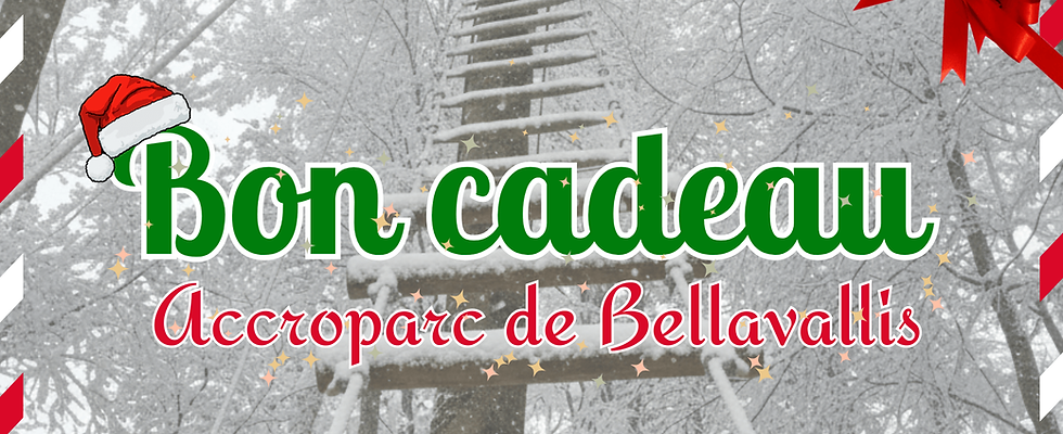 Bon cadeau noel 2025 accroparc bellavallis