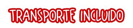 TRASNPORTE INCLUIDO.png
