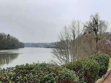 20250119_110825_edited.jpg
