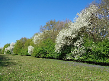 DSC00143.jpg