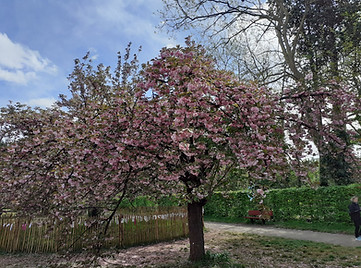 20250420_115916.jpg