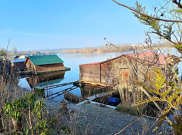 IMG20250216101236.jpg