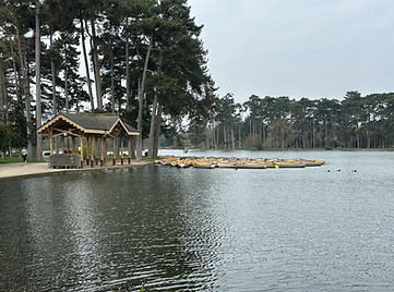 IMG_2266.jpg