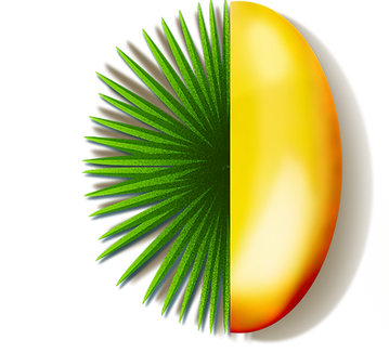 Homepage Saw Palmetto.png