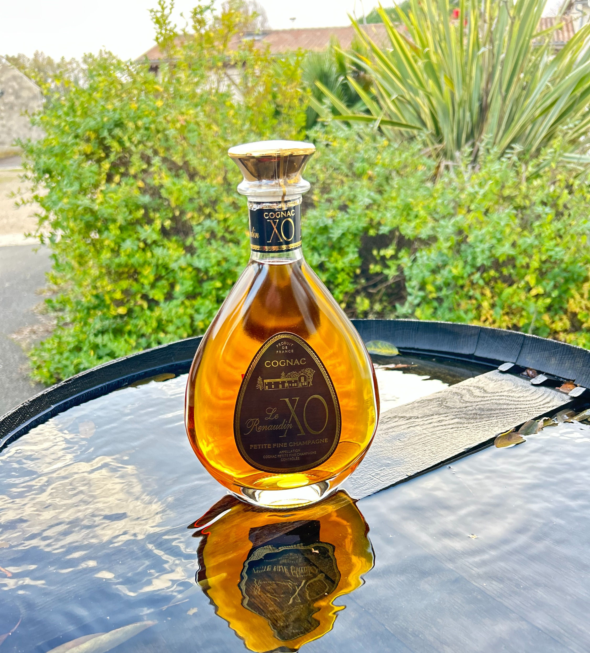 Cognac XO