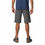 Miniaturbild: Sport Shorts Columbia Silver Ridge  Berg Dunkelgrau