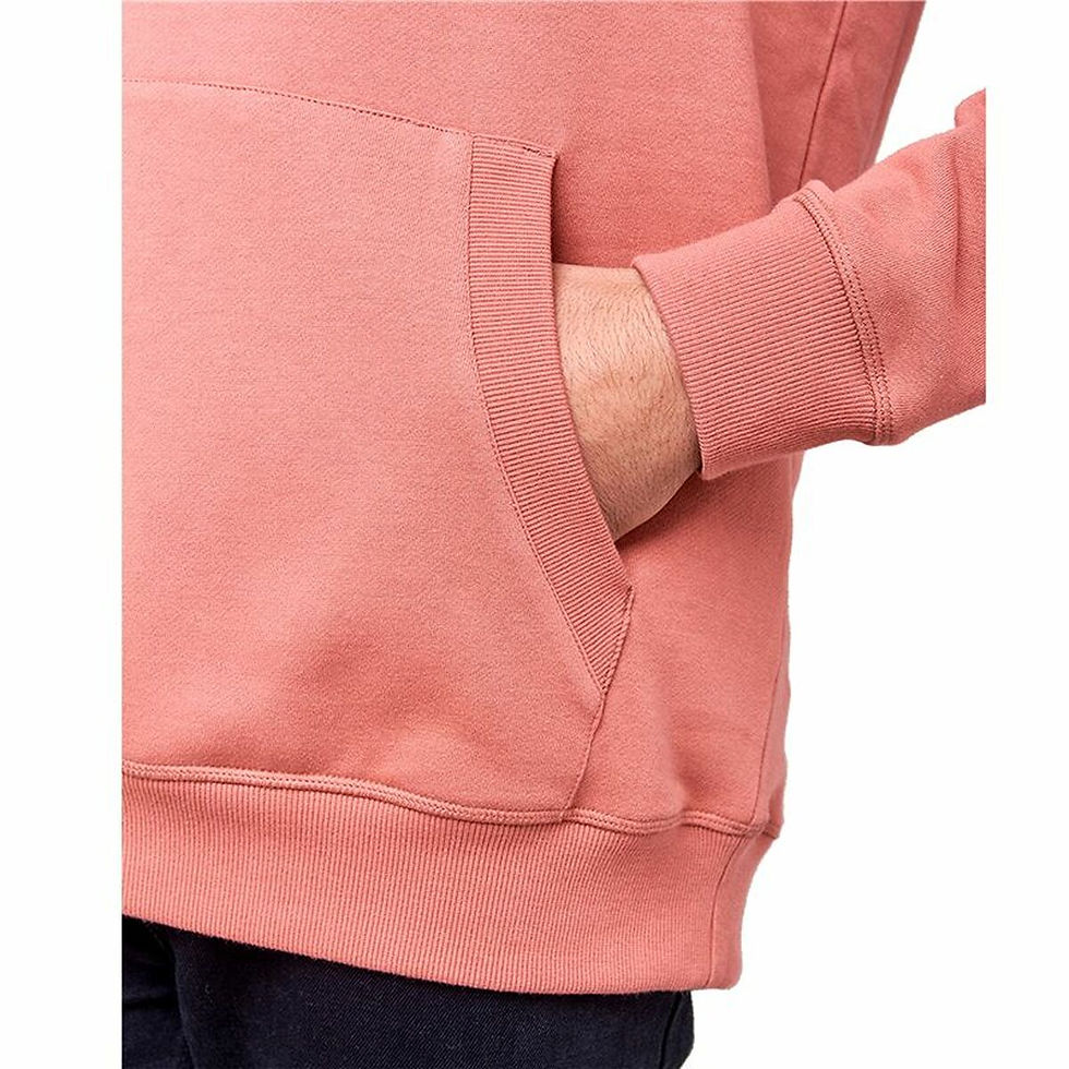 Miniaturbild: Herren Sweater mit Kapuze Rip Curl Essentials 3 Stripes French Terry Lachsfar