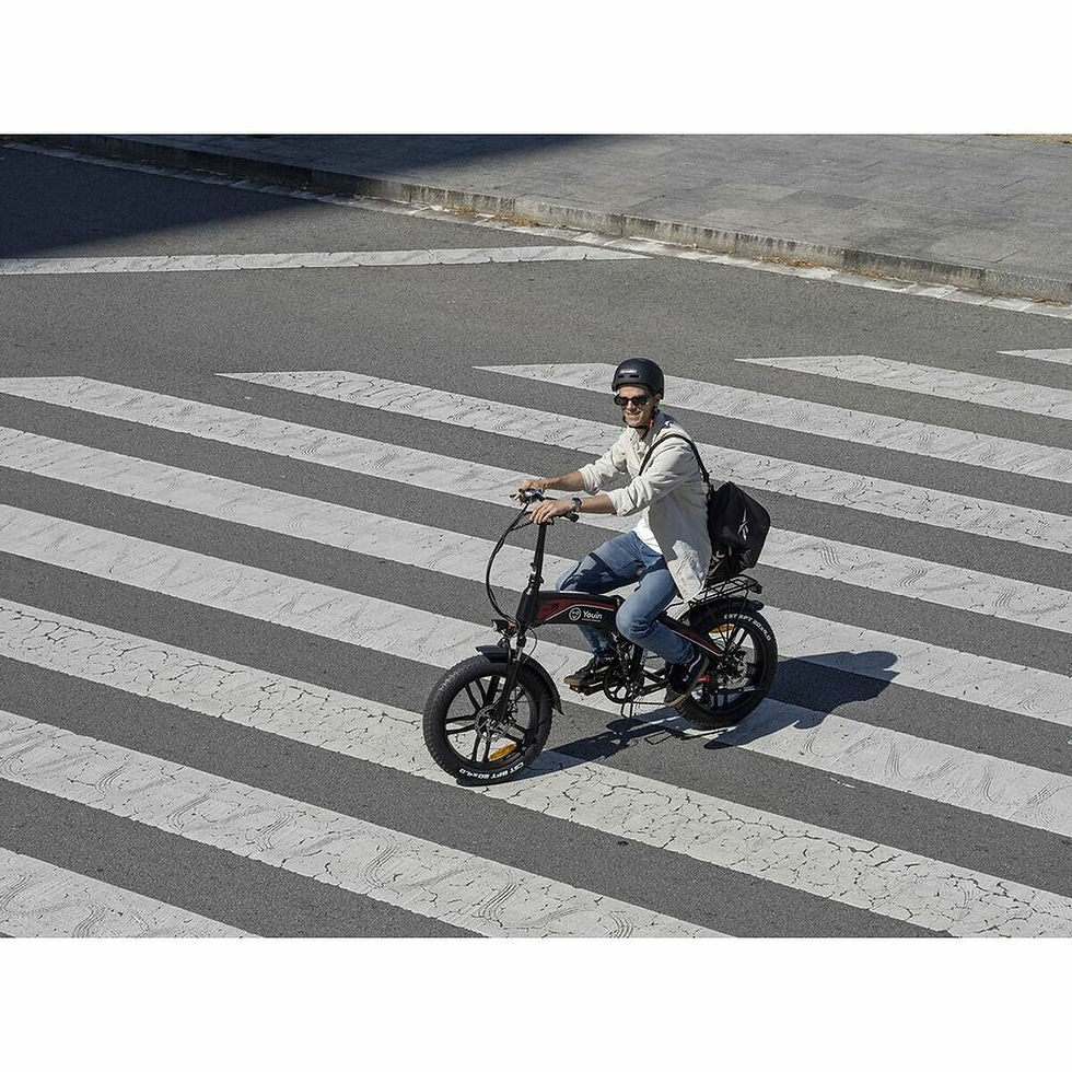 Miniaturbild: Elektrisches Fahrrad Youin BK1400R DAKAR 20" 25 km/h