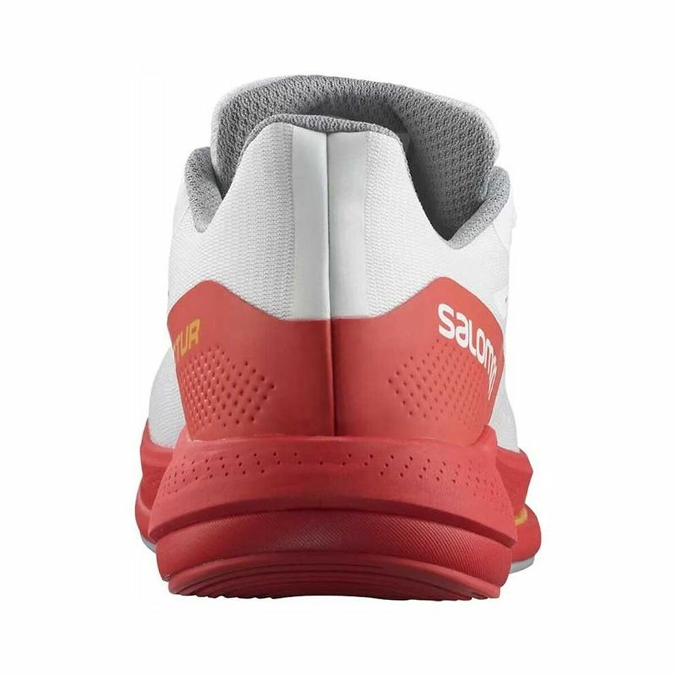 Miniaturbild: Laufschuhe für Erwachsene Salomon Spectur Weiß Herren