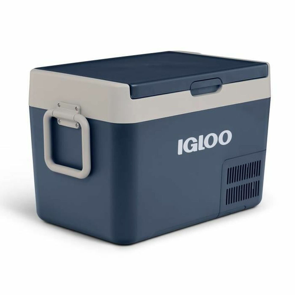 Tragbarer Kühlschrank Igloo71 31 L 32 L Blau Kunststoff