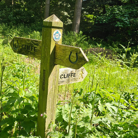 Performance vs. Acceptance