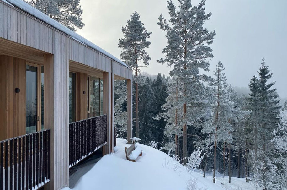 Sedertre design Arkitekttegnet enebolig Trekledning Integrert nedløp