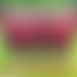 Männer des TV Langen spielen gutes Vorbereitungsturnier für die anstehende Feldsaison 2018