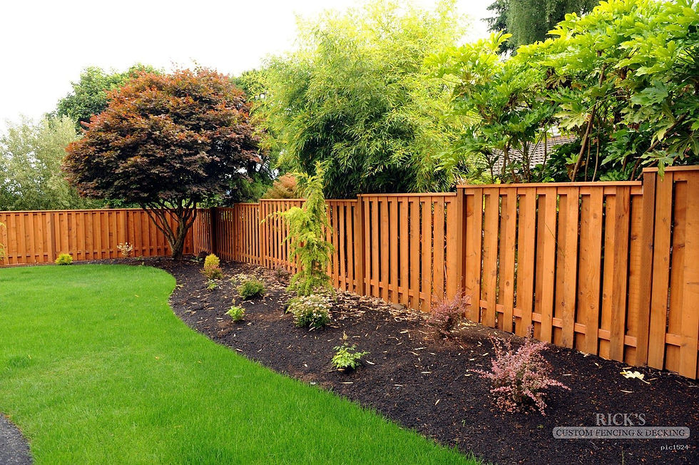 Commercial Fence