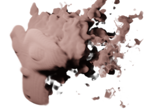distorted - smaller voxels - transparent