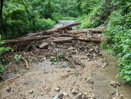 7月13日の集中豪雨の結果 竹田川支流のハンノキ谷入れ口土砂崩れで当分は入れません。
