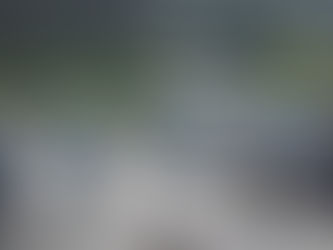 河川整備(草刈り)を行いました。