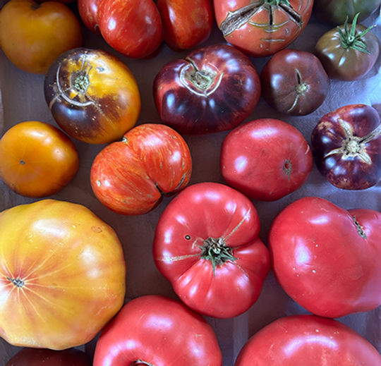 Heirlooms.jpg