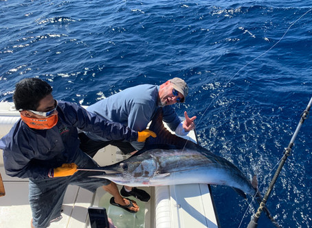 2X #marlinreleased 1X #Dorado #Mahimahi