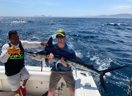 2 half day trips
1st trip : 6 Bonita’s
2nd trip : 2 Marlins