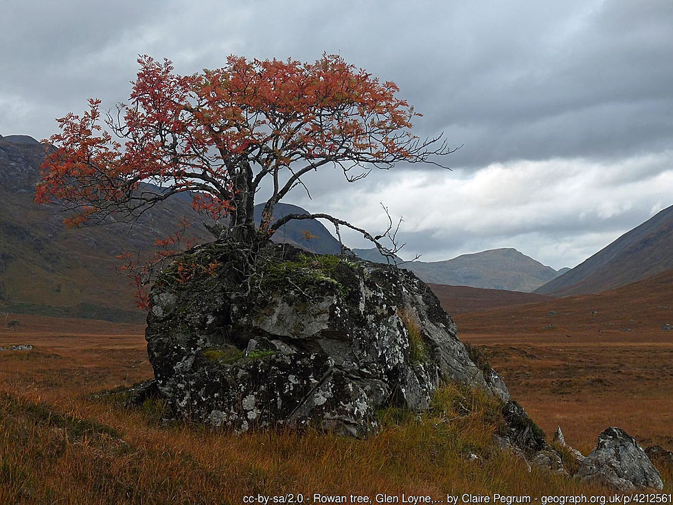 geograph-4212561-by-Claire-Pegrum.jpg