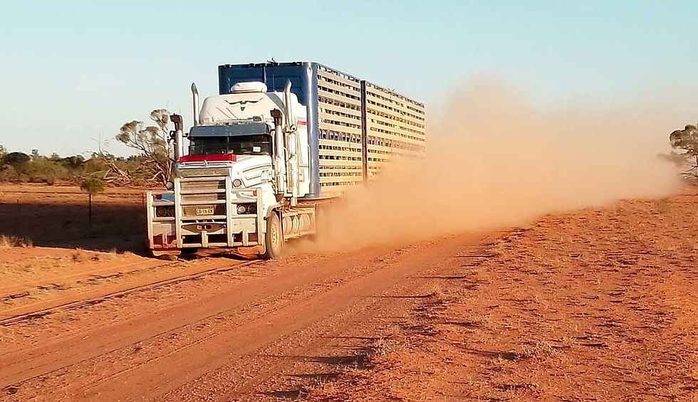 Government purchases of land for national parks have many local impacts, including inhibiting existing landowners from expanding their holdings, thereby decreasing numbers in the local communities. (Image: Pastoralists Association of West Darling)