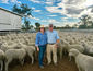 Dohne carcass and wool wins iconic wether trial