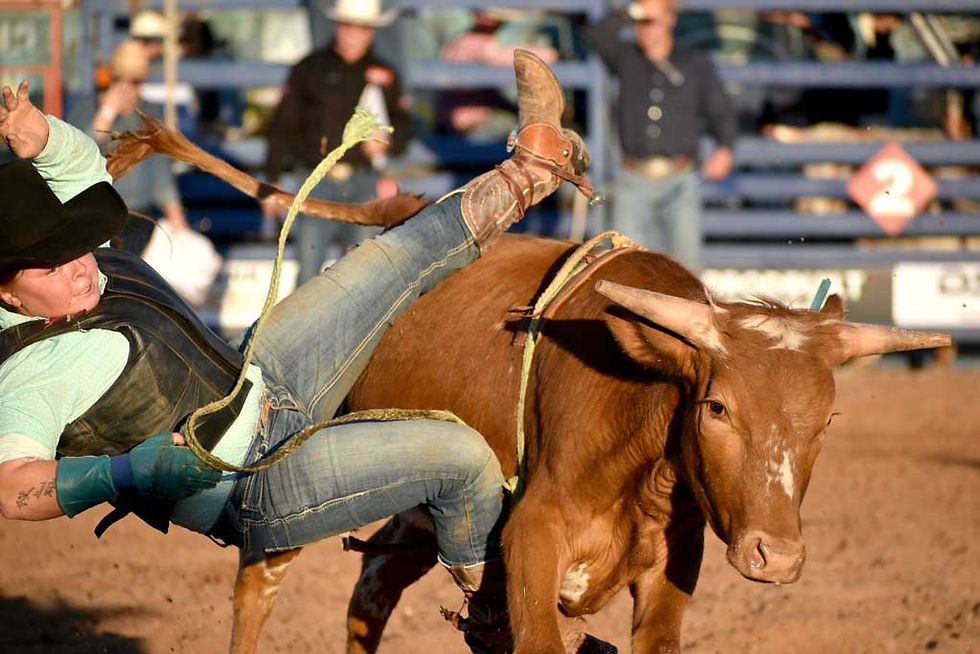 Vanessa Barry put in a massive ride in the Local Steer event. Photo TWH