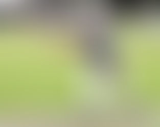 Bourke Big Bashers excel under lights and rain