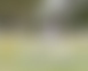 Ben Nott picked for interstate Masters competition