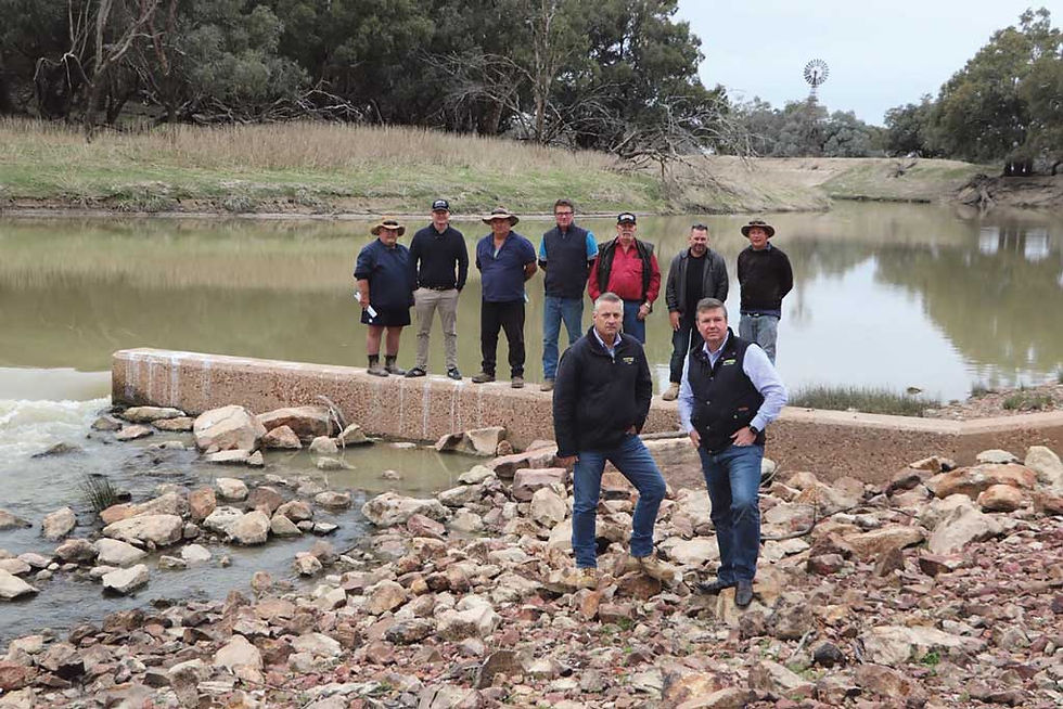 Local Federal Member Jamie Chaffey and Senator Ross Cadell checking out the Louth weir with locals who oppose any reduction in weir height. Photo: TWH