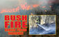 Bush Fire