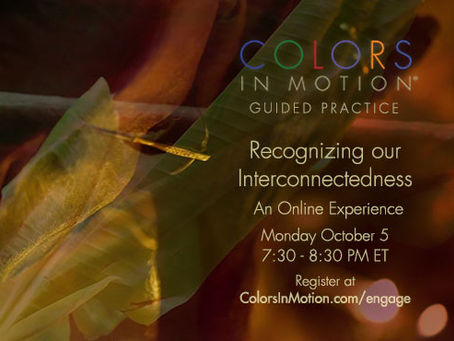 Join us: "Recognizing Our Interconnectedness" Online Practice Group - Monday October 5, 2020