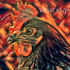 Stylized Rooster Illustration