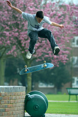 skateboardingnin Dover (2).jpg